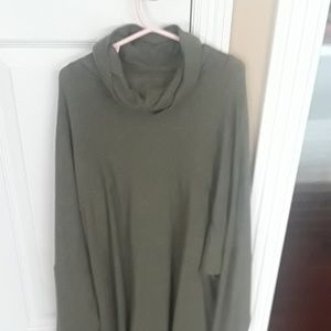 Aerie olive turtleneck sweater.